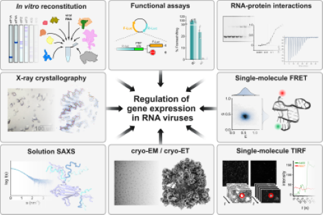 Figure 1 – Techniques used by the Hill Lab
